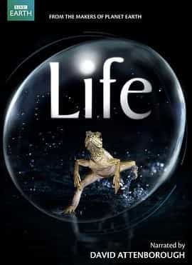 生命 Life