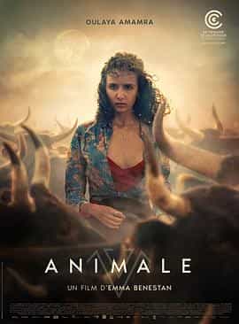 兽性 Animale