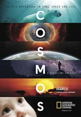 宇宙时空之旅 Cosmos: A SpaceTime Odyssey