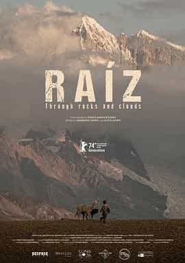 穿岩破云 Raíz