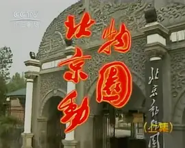 北京电影制片厂194部大合集