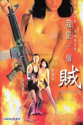 1995 我是一个贼.mkv