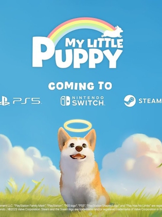 我的小柯基(My Little Puppy)_v1.1.2519.124849 官中