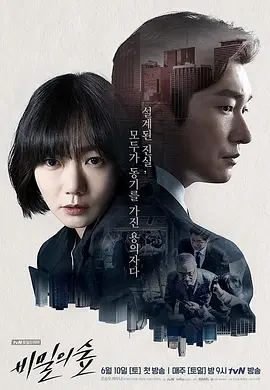 秘密森林 (2017) 附衍生剧