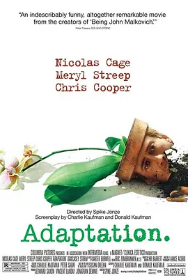 Adaptation.2002.改编剧本.双语字幕.HR-HDTV.AC3.1024x544.x264-人人影视制作(1).mkv